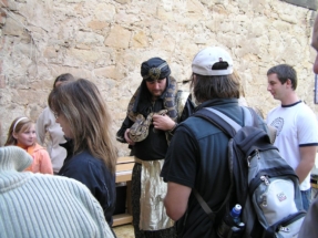 Historická slavnost 2010